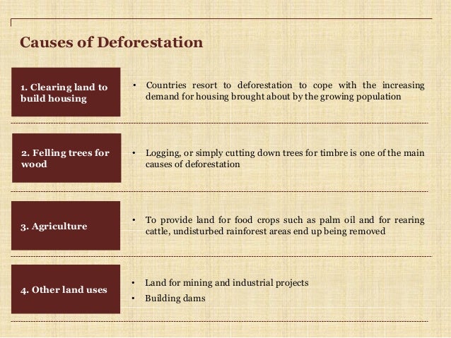 Essay on deforestration