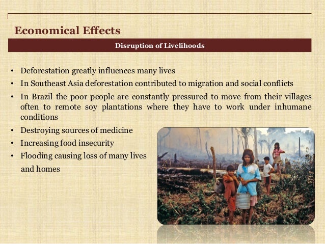 define the causes and hazards of deforestation define the causes and hazards of deforestation