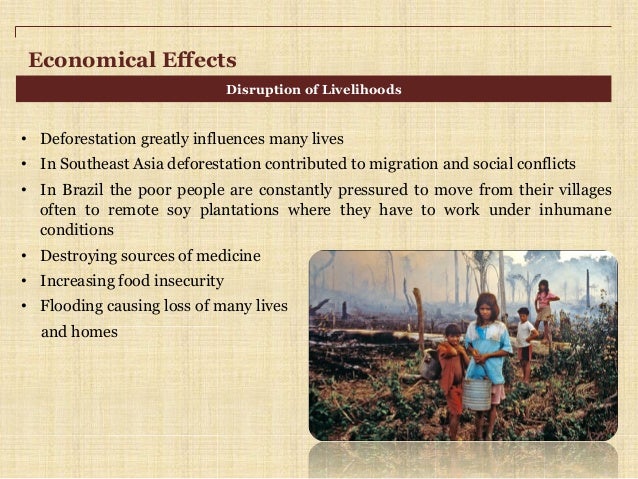 Hazards of deforestation