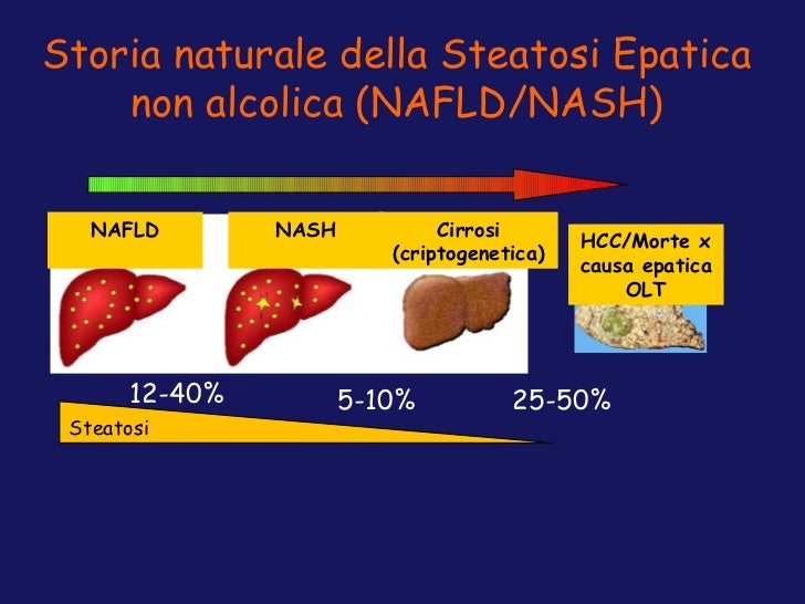 La steatosi epatica quale fattore di rischio epatico e cardiovascolar…