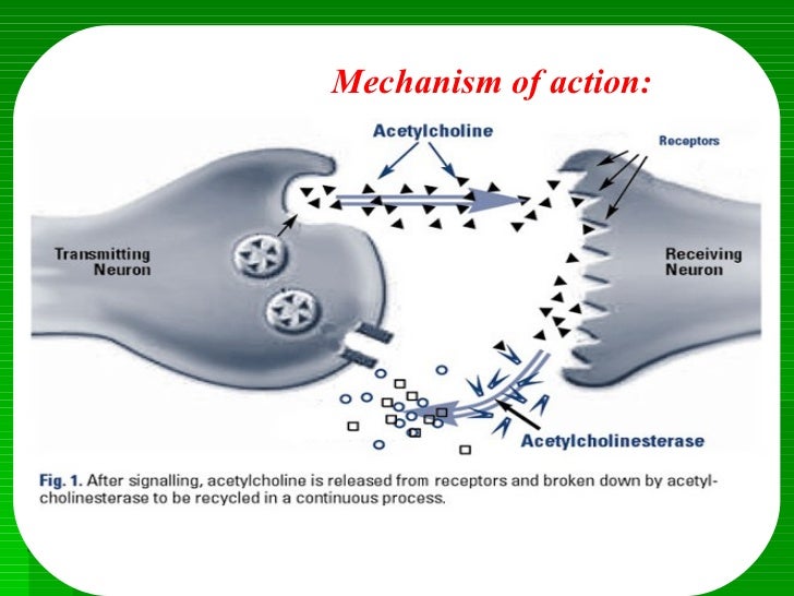 Galantamine forecasting Galantamine recommend