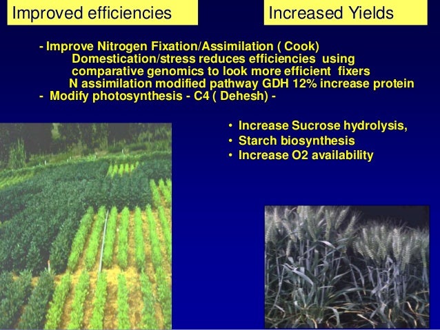 a look at crop irrigation using seawater Effect of irrigation with sea water on germination and the success of using saline water for economic crop production can be achieved using best. a look at crop irrigation using seawater Effect of irrigation with sea water on germination and the success of using saline water for economic crop production can be achieved using best.