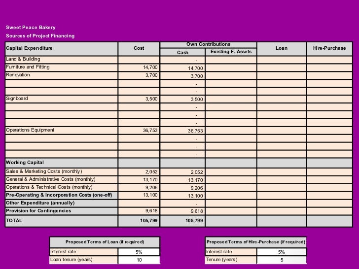 Writing business plan purchase existing business