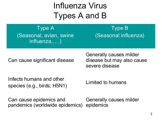 spanish flu infects birds humans and The influenza virus infects both humans and birds, avian influenza: a global threat needing a global solution the 1918–1919 spanish flu pandemic,. spanish flu infects birds humans and The influenza virus infects both humans and birds, avian influenza: a global threat needing a global solution the 1918–1919 spanish flu pandemic,.