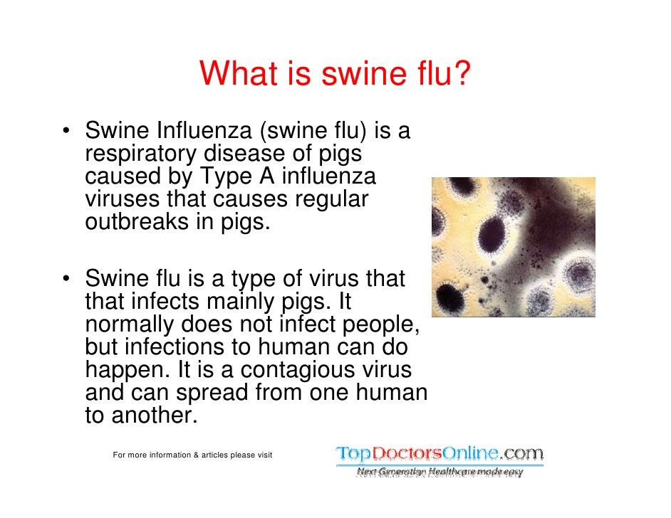 Swine Flu Is Caused By Mosquito Bite Swine Flu H1N1 Info, Symptoms, Prevention & Treatment