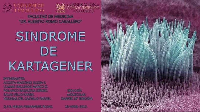 Sindrome de kartagener