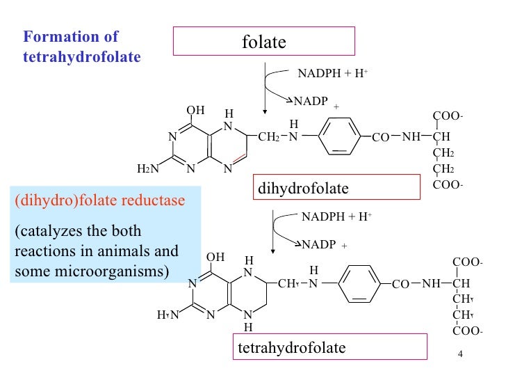 Synthesis of nucleotides_11