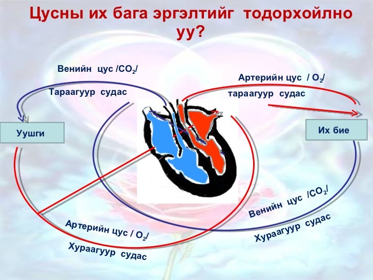 Цусны эргэлт