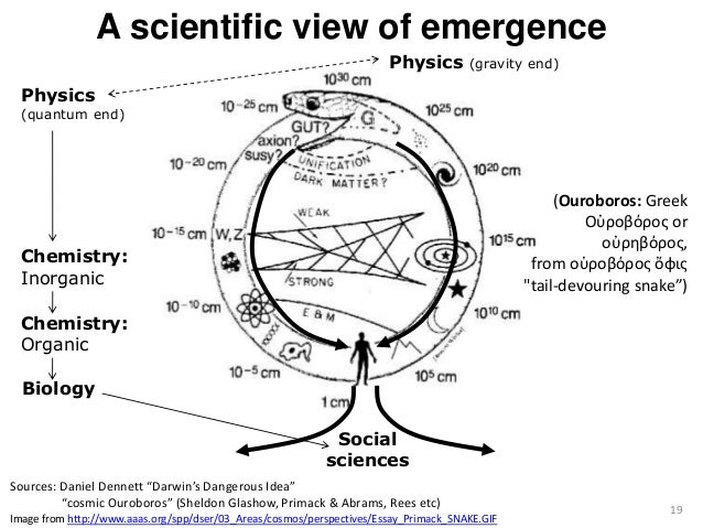 innovation perspectives mechanistic or organic essay Burns and stalker noted in the management of innovation that organic structures are organic organizations are in mechanistic. innovation perspectives mechanistic or organic essay Burns and stalker noted in the management of innovation that organic structures are organic organizations are in mechanistic.
