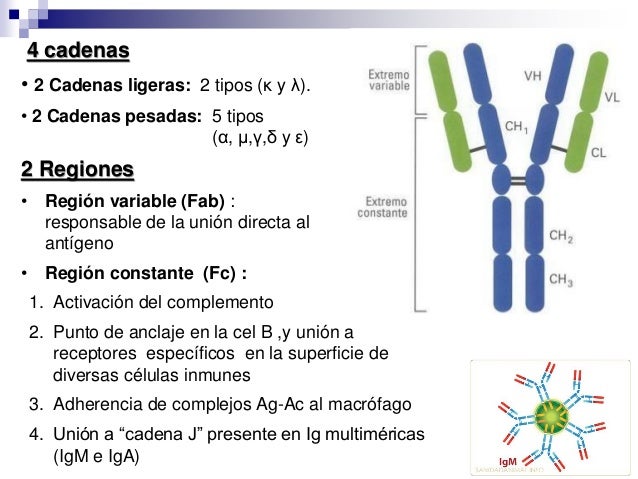 inmunología