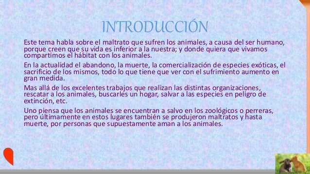 Maltrato Animal