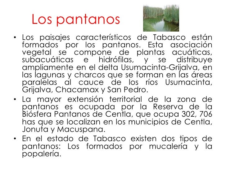 para conocer México, estructura socieconómica de México, TABASCO para conocer México, estructura socieconómica de México, TABASCO