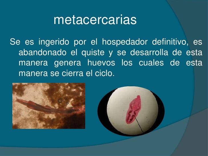 Los granos sobre la espalda después del masaje el tratamiento
