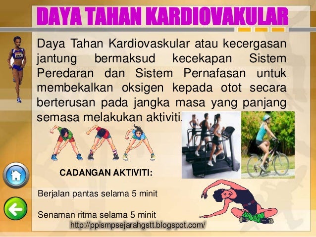 Tahun 4