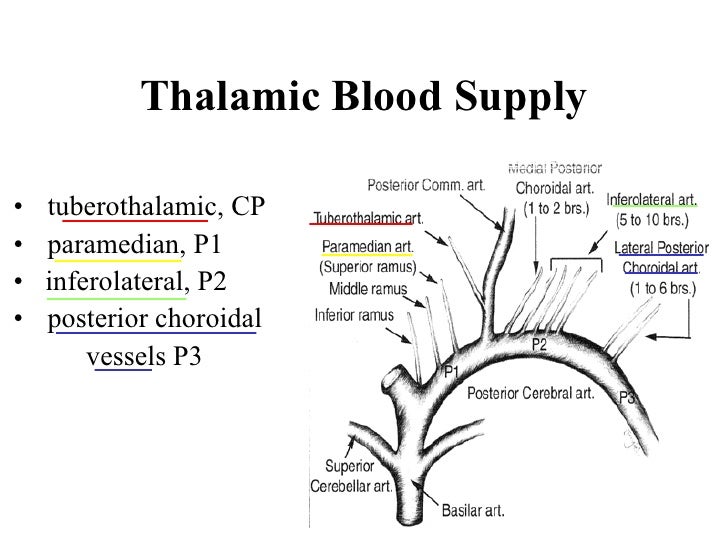 treatment for stroke paralysis