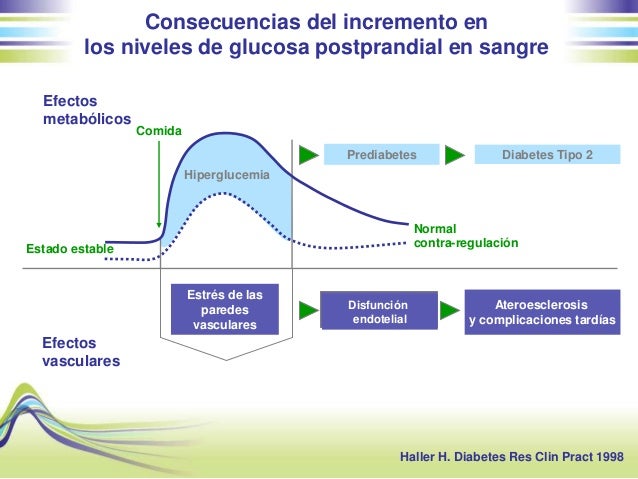 Taller de insulina Taller de insulina