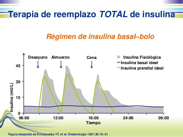 Taller de insulina Taller de insulina