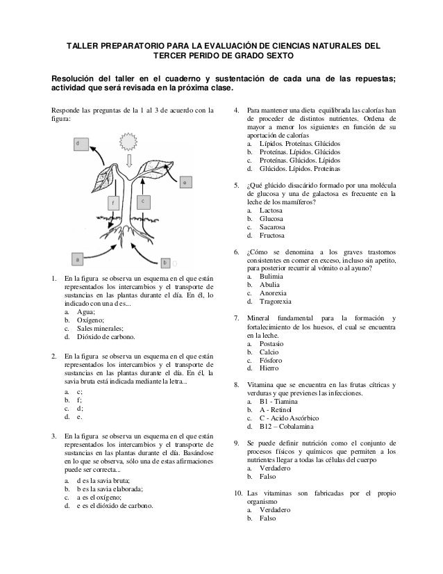 preguntas de historia argentina multiple choice taller preparatorio para la evaluaci 243 n de ciencias preguntas de historia argentina multiple choice taller preparatorio para la evaluaci 243 n de ciencias