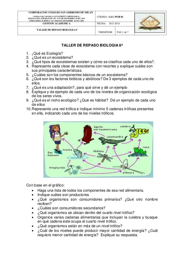 preguntas sobre guias alimentarias taller repaso biologia preguntas sobre guias alimentarias taller repaso biologia