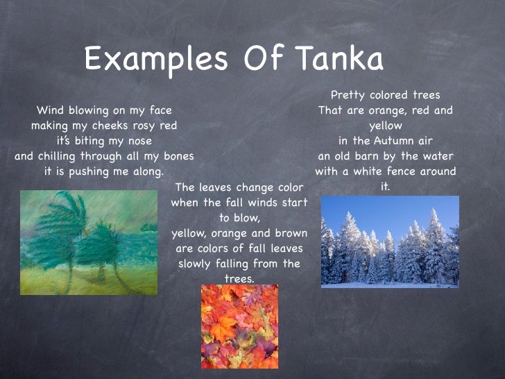 Tanka Poems tanka-poems