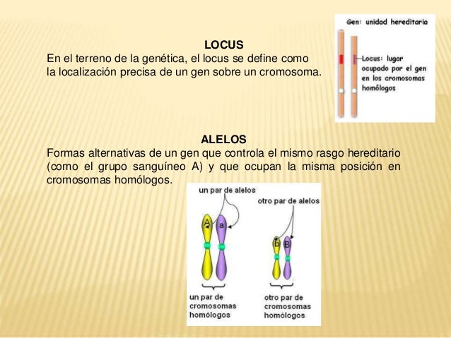 Tarea 2 terminologia basica