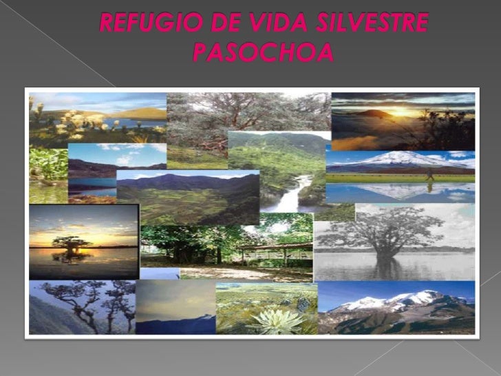 refugio de vida silvestre
