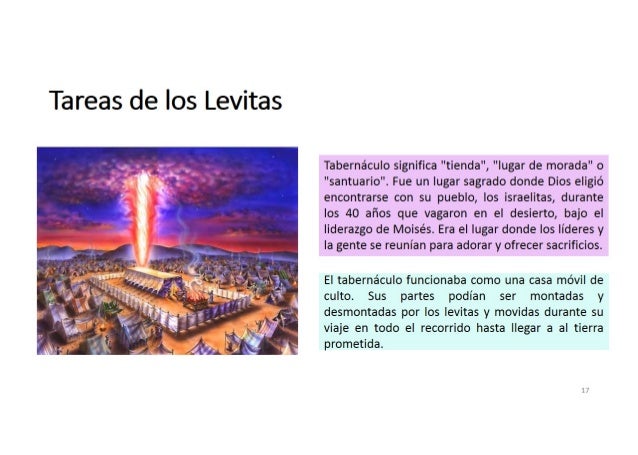 Tareas de los levitas