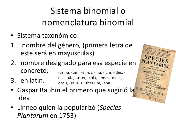 Nomenclatura Binomial