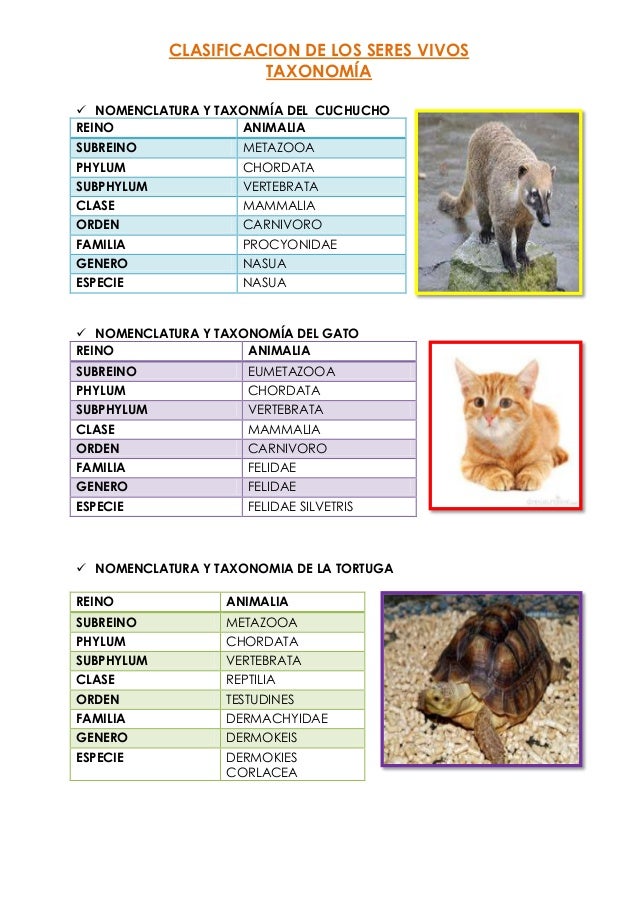 Taxonomia unidad 1