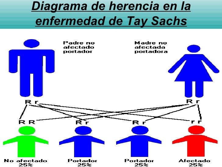 Tay sachs