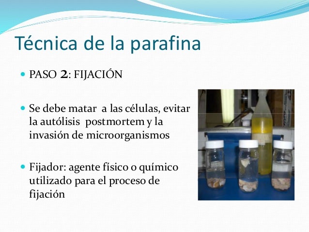 Técnicas histológicas