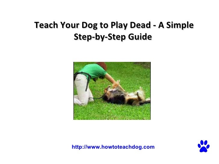 teach your dog to play dead a simple step by step guide teach your dog to play dead a simple step by step guide