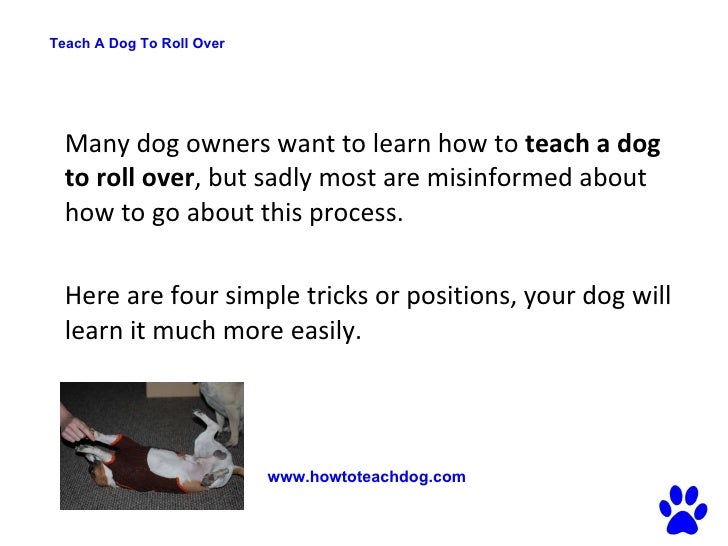 teach to roll teach a to roll simple steps to your teach to roll teach a to roll simple steps to your