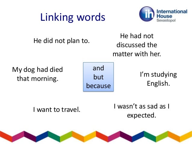 Dog essay writing