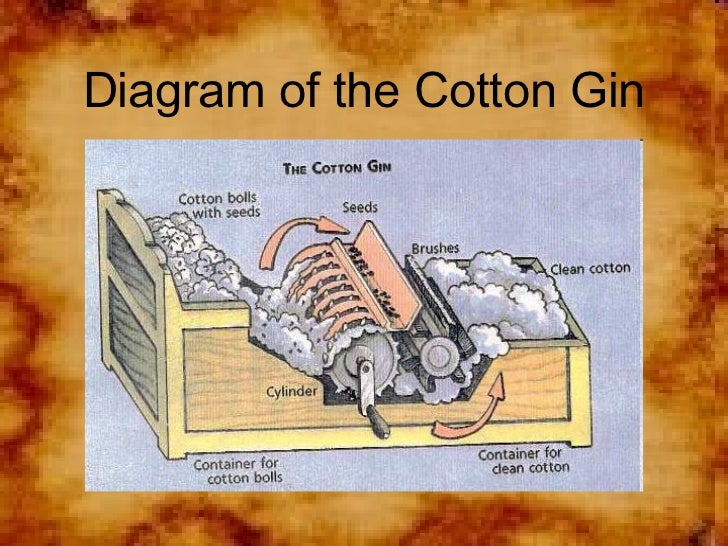 Cotton Gin (1794). 