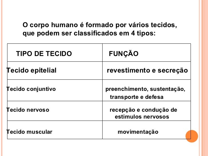 Maquilagem de olhos de meninas com sardas