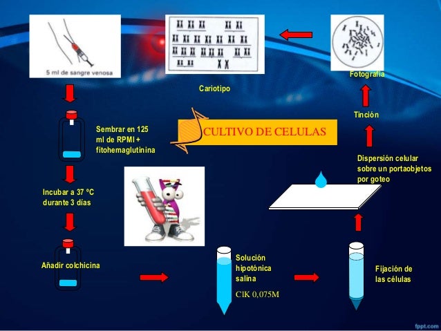 viagra functional groups viagra functional groups