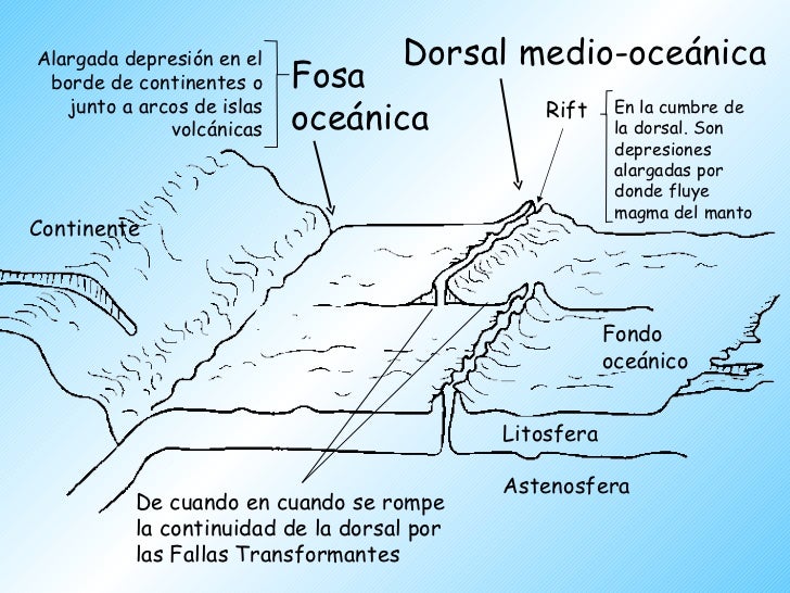 Tectonica De Placas (resumen)