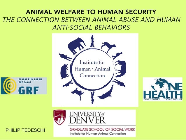 Animal welfare essay