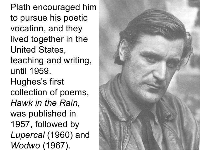 thrushes by ted hughes No poet has observed animals more accurately than ted hughes has done thrushes thrushes – terrifying creatures “bounce and stab,”. thrushes by ted hughes No poet has observed animals more accurately than ted hughes has done thrushes thrushes – terrifying creatures “bounce and stab,”.
