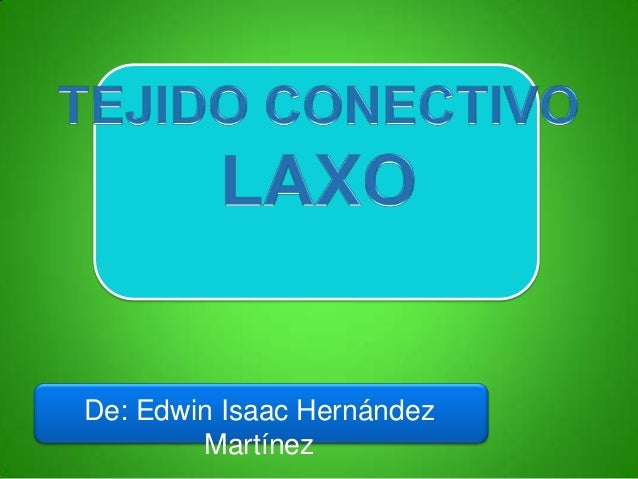 TEJIDO CONECTIVO LAXO tejido conectivo laxo: