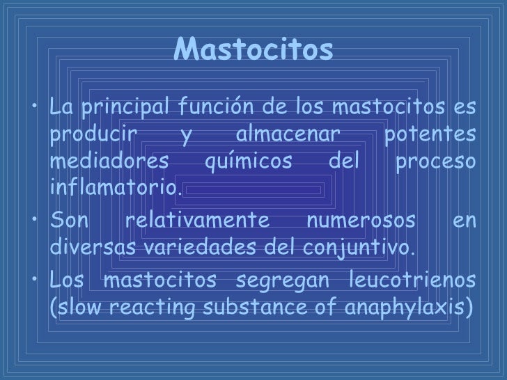 Tejido conectivo