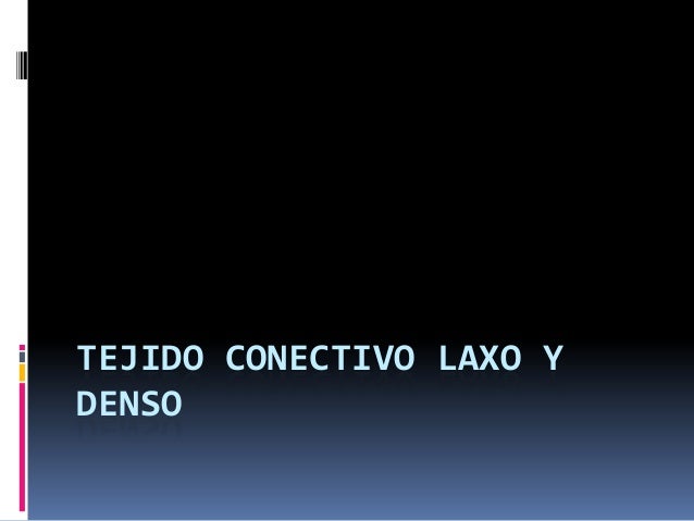 TEJIDO CONECTIVO LAXO tejido conectivo laxo: