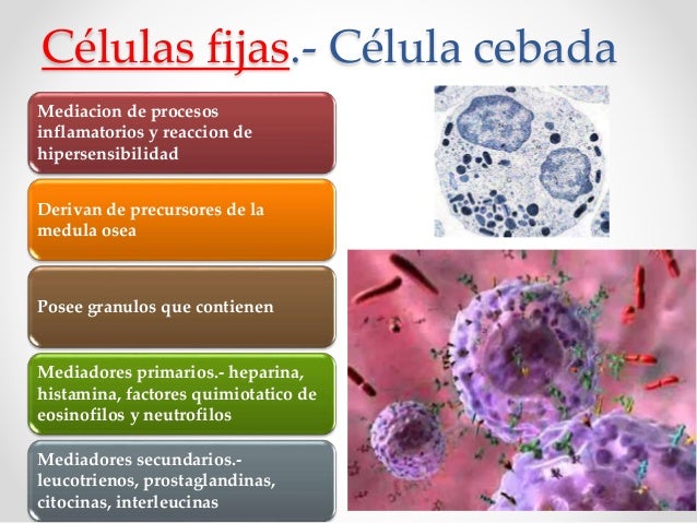 Porque Las Celulas Afectadas Llegan A Otros Tejidos