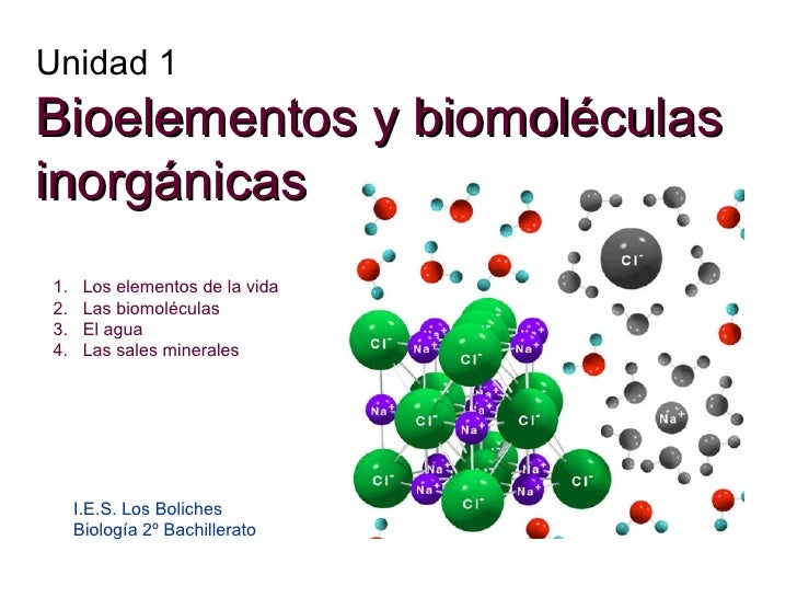 Bioelementos Y Biomolculas Slideshare | Share The Knownledge