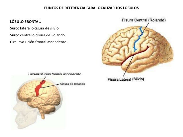 Tema 0 dca