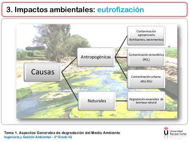 Tema 1. aspectos generales de degradación del medio ambiente