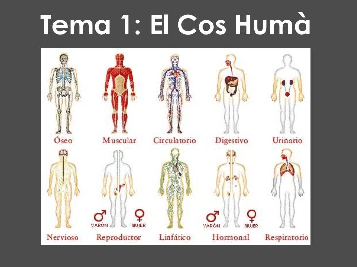 Tema 1 El Cos Hum Tema 1 El Cos Hum