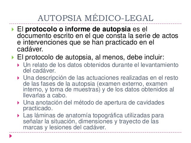 formato de informe escrito