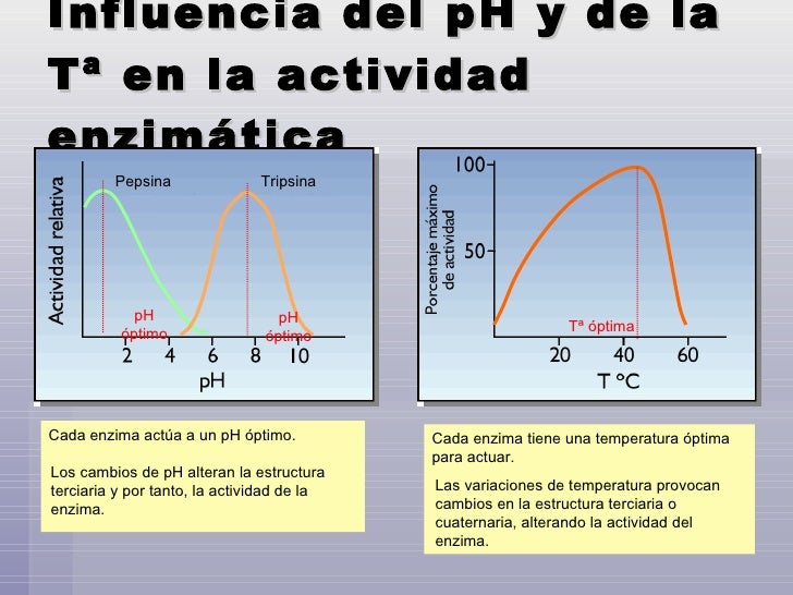 Proteínas